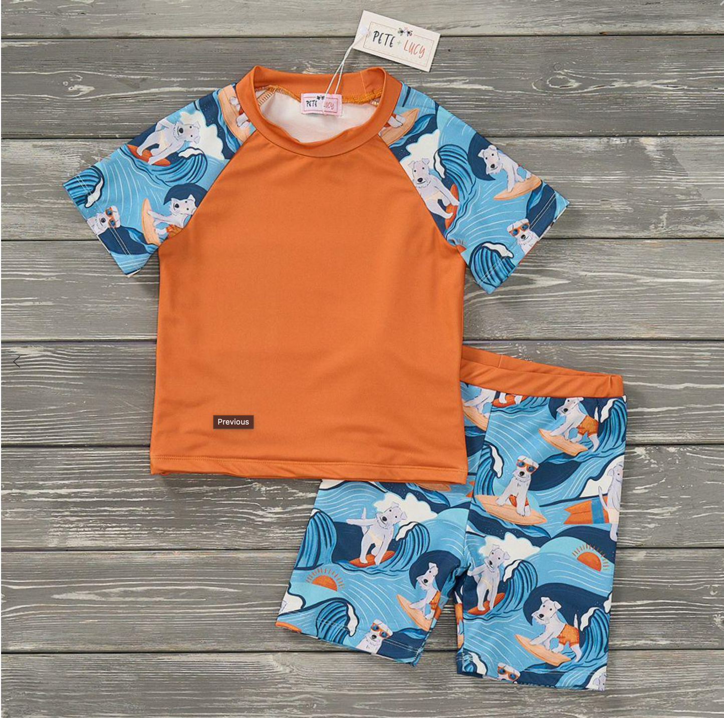 Surfs Up Pup - Boy 2 Piece Swimsuit